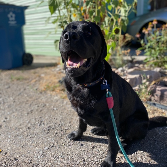 Meet your Posher, Edith - Picture 1 of 1